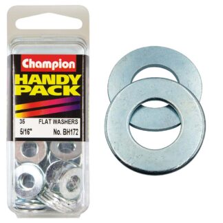 Champion 5/16in Flat Steel Washer