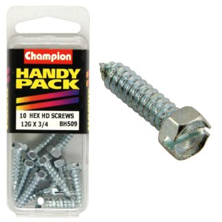 Champion 12G x 3/4in S/Tap Set Screw - Hex HD