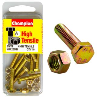 Champion M5 x 25 Set Screw & Nut (A) - GR8.8