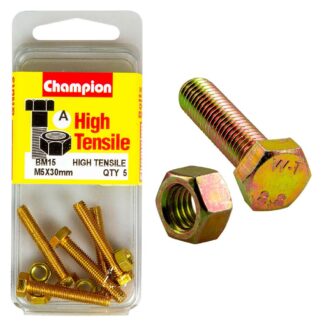 Champion M5 x 30 Set Screw & Nut (A) - GR8.8