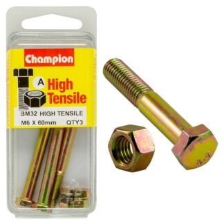 Champion M6 x 60 Bolt & Nut (A) - GR8.8