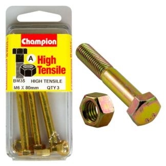 Champion M6 x 80 Bolt & Nut (A) - GR8.8