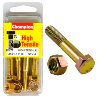 Champion 8 x 50 x 1.0 Set Screw  & Nut (B) - GR8.8
