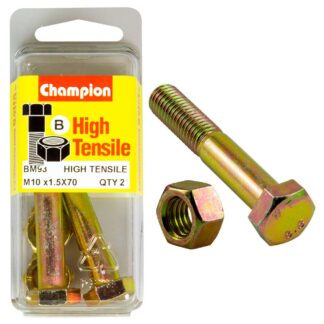 Champion 10 x 70 Bolt And Nut (B) - GR8.8