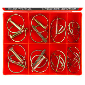 Champion 18pc Lynch Pin Assortment