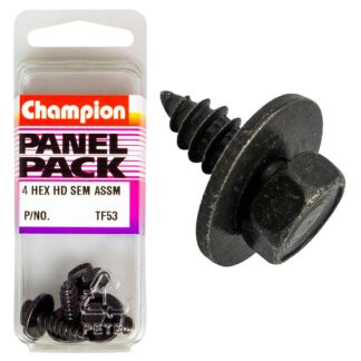 Champion 12G x 3/4in Hex /Ph S/Tap Set Screw -4pk