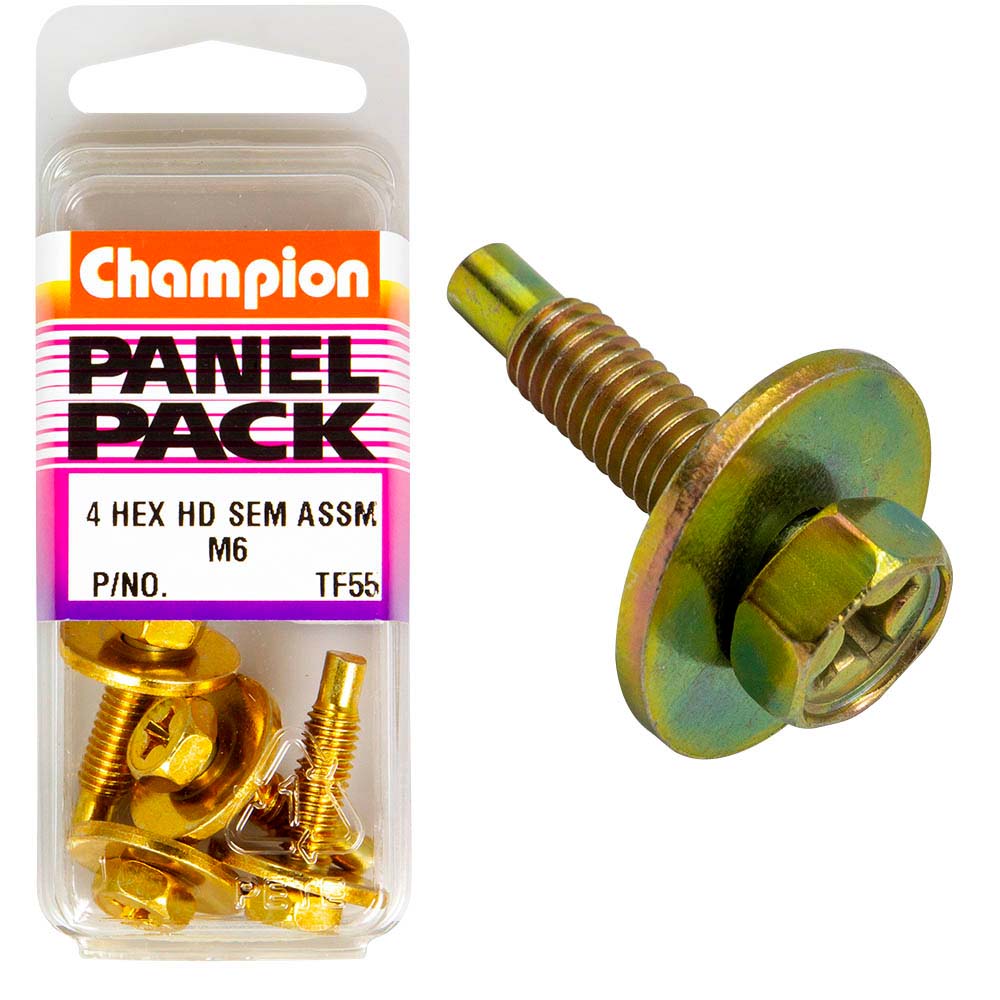 Champion M6 x 25mm Sems Assembly Hex Bolt W/ Flat Washer-4pk