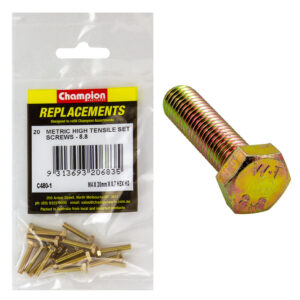 Champion 5/16UNC x 3/4in Set Screws/Nuts - Mini Jar -25pk**