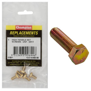 Champion M10 x 25mm x 1.25 Set Screws/Nuts - Mini Jar -25pk*